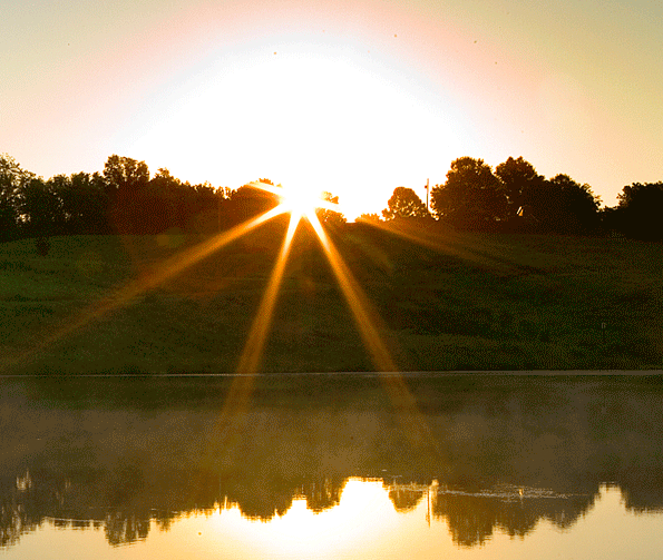 sunrise-boll-cropped