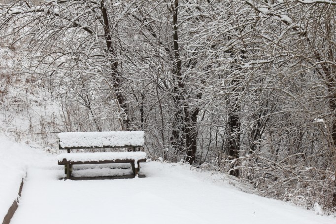 snowy-bench