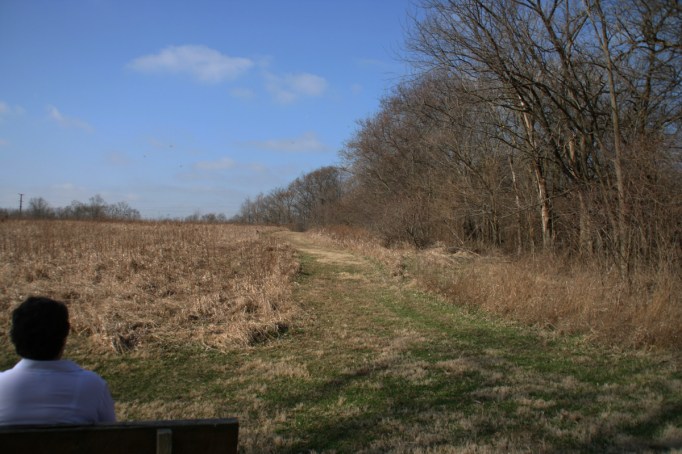 mary on bench looking at field