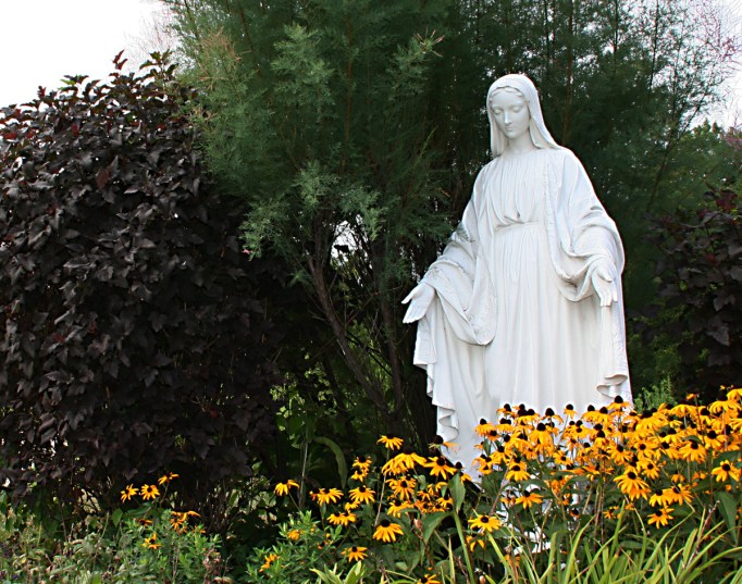 mary and black eyed susans